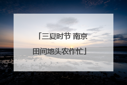 三夏时节 南京田间地头农作忙