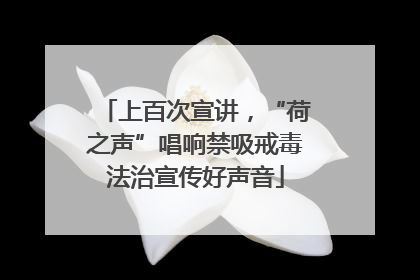 上百次宣讲，“荷之声”唱响禁吸戒毒法治宣传好声音