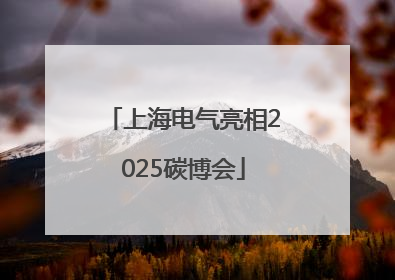 上海电气亮相2025碳博会
