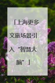 上海更多文旅场景引入“智慧大脑”