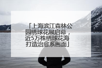 上海滨江森林公园绣球花展启幕，近5万株绣球花海打造治愈系画面