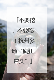 不要挖、不要吃！杭州多地“疯狂冒头”