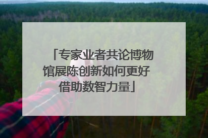 专家业者共论博物馆展陈创新如何更好借助数智力量