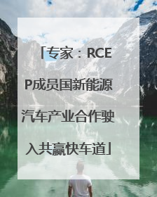 专家：RCEP成员国新能源汽车产业合作驶入共赢快车道