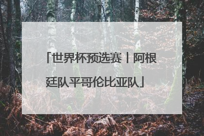 世界杯预选赛丨阿根廷队平哥伦比亚队