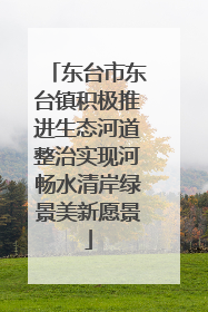 东台市东台镇积极推进生态河道整治实现河畅水清岸绿景美新愿景