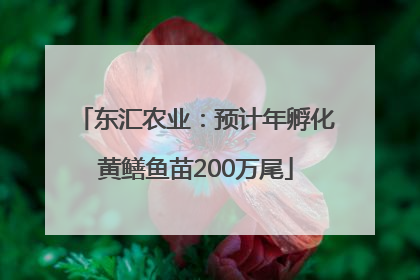 东汇农业：预计年孵化黄鳝鱼苗200万尾