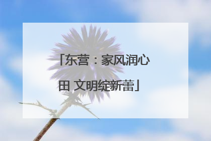 东营：家风润心田 文明绽新蕾