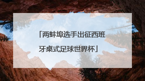 两蚌埠选手出征西班牙桌式足球世界杯