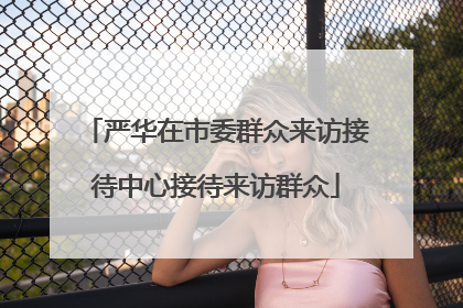 严华在市委群众来访接待中心接待来访群众
