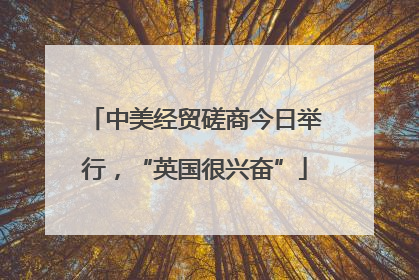 中美经贸磋商今日举行，“英国很兴奋”