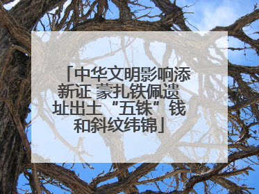 中华文明影响添新证 蒙扎铁佩遗址出土“五铢”钱和斜纹纬锦