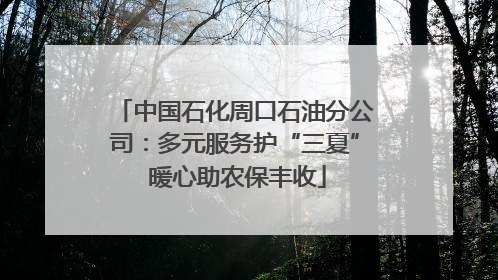 中国石化周口石油分公司：多元服务护“三夏” 暖心助农保丰收