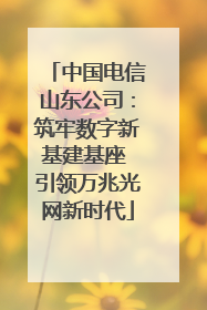 中国电信山东公司：筑牢数字新基建基座 引领万兆光网新时代