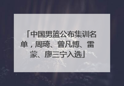 中国男篮公布集训名单，周琦、曾凡博、雷蒙、廖三宁入选