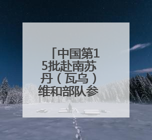 中国第15批赴南苏丹（瓦乌）维和部队参加联合国维和人员日纪念活动