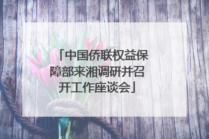 中国侨联权益保障部来湘调研并召开工作座谈会