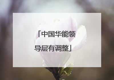 中国华能领导层有调整