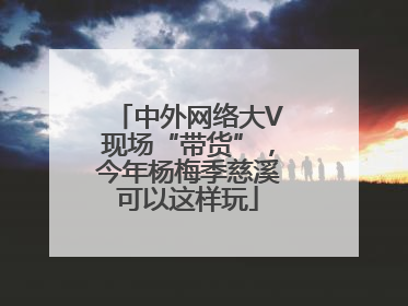 中外网络大V现场“带货”，今年杨梅季慈溪可以这样玩
