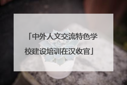 中外人文交流特色学校建设培训在汉收官