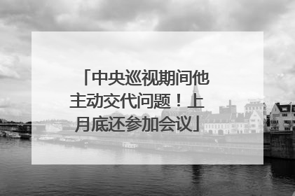 中央巡视期间他主动交代问题！上月底还参加会议