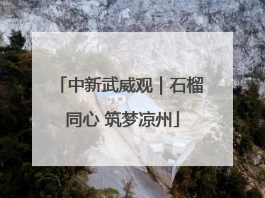 中新武威观｜石榴同心 筑梦凉州