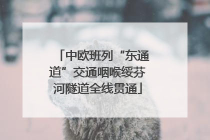 中欧班列“东通道”交通咽喉绥芬河隧道全线贯通