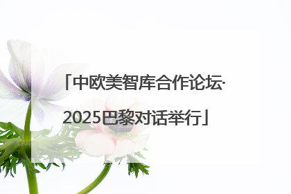 中欧美智库合作论坛·2025巴黎对话举行