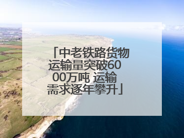 中老铁路货物运输量突破6000万吨 运输需求逐年攀升