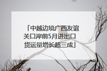 中越边境广西友谊关口岸前5月进出口货运量增长超三成