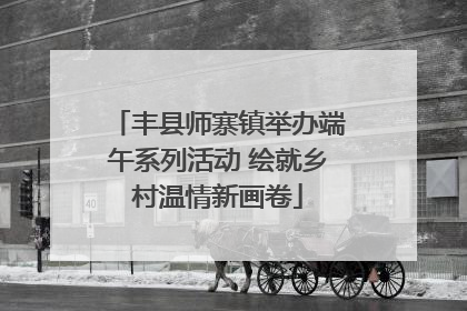 丰县师寨镇举办端午系列活动 绘就乡村温情新画卷