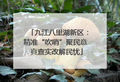 九江八里湖新区：精准“吹哨”聚民意 真查实改解民忧