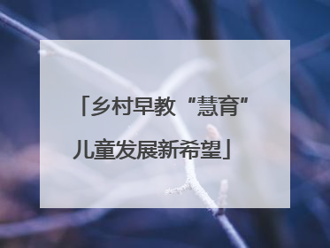乡村早教“慧育”儿童发展新希望