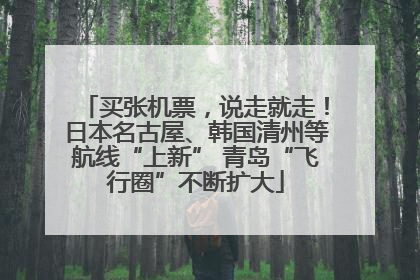 买张机票，说走就走！日本名古屋、韩国清州等航线“上新” 青岛“飞行圈”不断扩大