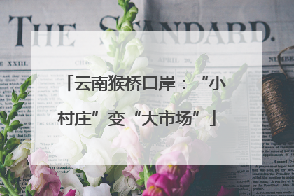 云南猴桥口岸：“小村庄”变“大市场”