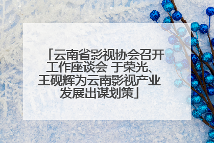 云南省影视协会召开工作座谈会 于荣光、王砚辉为云南影视产业发展出谋划策