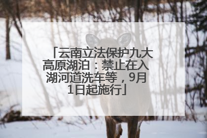 云南立法保护九大高原湖泊：禁止在入湖河道洗车等，9月1日起施行
