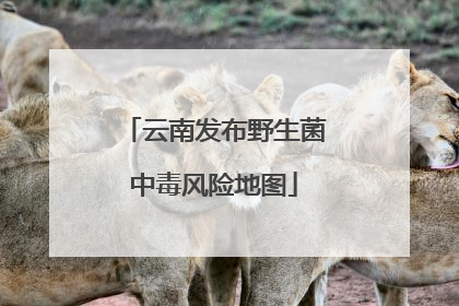 云南发布野生菌中毒风险地图