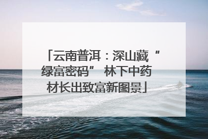 云南普洱：深山藏“绿富密码” 林下中药材长出致富新图景