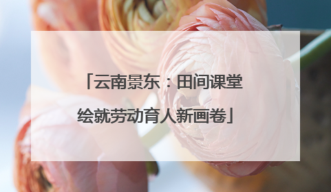 云南景东：田间课堂绘就劳动育人新画卷