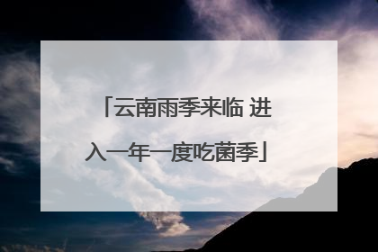 云南雨季来临 进入一年一度吃菌季