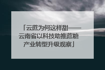 云蔗为何这样甜——云南省以科技助推蔗糖产业转型升级观察