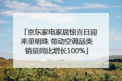 京东家电家居惊喜日迎来董明珠 带动空调品类销量同比增长100%