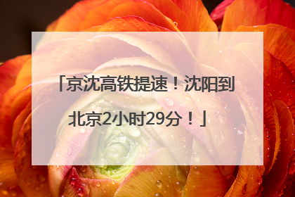 京沈高铁提速！沈阳到北京2小时29分！