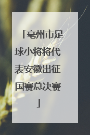 亳州市足球小将将代表安徽出征国赛总决赛