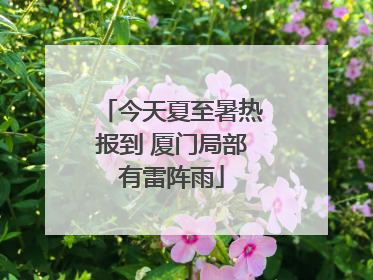 今天夏至暑热报到 厦门局部有雷阵雨