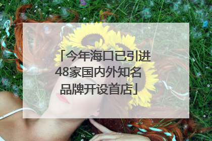 今年海口已引进48家国内外知名品牌开设首店