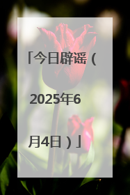 今日辟谣（2025年6月4日）