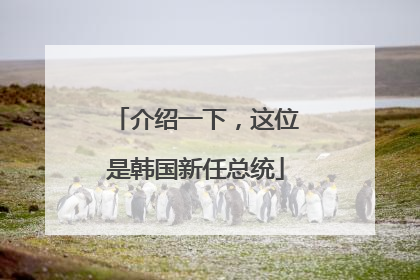 介绍一下，这位是韩国新任总统