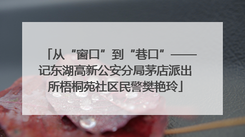 从“窗口”到“巷口”——记东湖高新公安分局茅店派出所梧桐苑社区民警樊艳玲